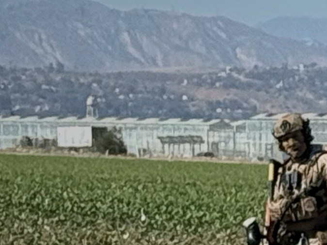 A demonstrator kneels in front of federal agents in a farm field during an immigration raid in Camarillo, Calif. (AP Photo/Michael Owen Baker)