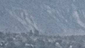A demonstrator kneels in front of federal agents in a farm field during an immigration raid in Camarillo, Calif. (AP Photo/Michael Owen Baker)