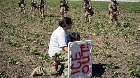 A demonstrator kneels in front of federal agents in a farm field during an immigration raid in Camarillo, Calif. (AP Photo/Michael Owen Baker)