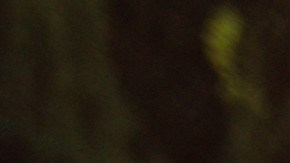 Retiran del mercado 5 millones de piscinas tras la tragedia de 9 niños