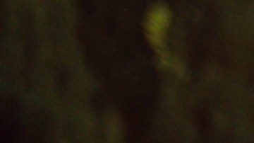 Retiran del mercado 5 millones de piscinas tras la tragedia de 9 niños