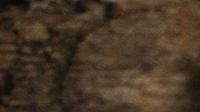 Retiro voluntario de panes artesanales por Hartford Bakery, Inc. en 12 estados