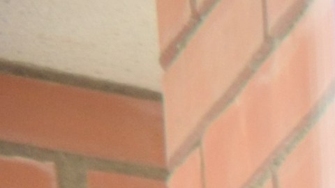 Seguro Social embarga cheques de pagos para jubilados