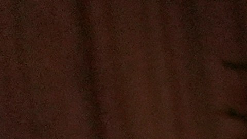 Selena Gomez y Benny Blanco