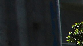 Hasta el momento, se desconoce la sustancia que provocó la sobredosis.