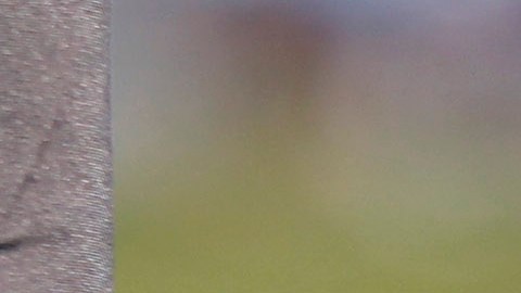 A race official holds a start gun prior to a Men's 800m heat during the European Athletics Championships, in Barcelona, Spain, Wednesday, July 28, 2010. (AP Photo/Anja Niedringhaus)