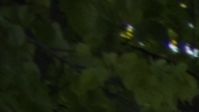 T-Mobile está ofreciendo DashPass gratis a sus clientes: ¿cómo acceder al beneficio?