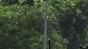 Tanques de Tailandia cerca de la zona de los enfrentamientos.