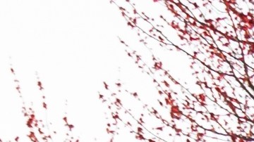 Tarifas de seguro de vivienda de State Farm aumentarán en un 27% en este estado