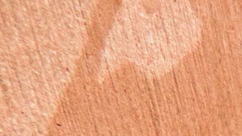 Mojar tu teléfono puede tener consecuencias permanentees incluso si se trata de uno con resistencia a líquidos