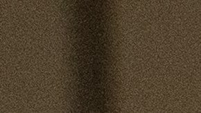 Pamela Anderson Liam Neeson The Naked Gun