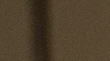 Pamela Anderson Liam Neeson The Naked Gun