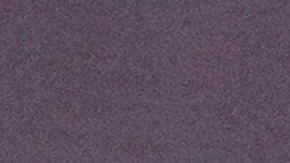 El oficial de Policía fallecido es Didarul Islam, de 36 años y con varios años de experiencia en el cuerpo.