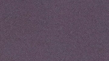 El oficial de Policía fallecido es Didarul Islam, de 36 años y con varios años de experiencia en el cuerpo.