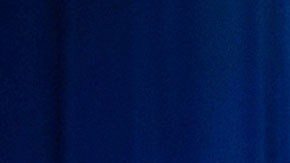 La presión ejercida desde la Casa Blanca sobre Todd Lyons ha mermado su salud.