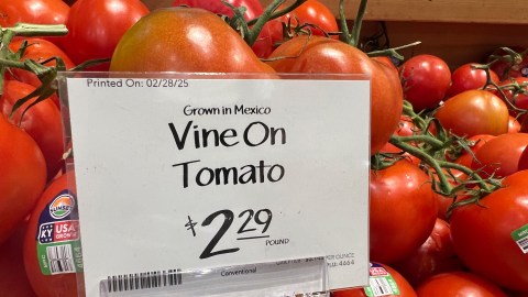 Aseguran que el impuesto al tomate mexicano tendrá “una repercusión inmediata” en el mercado estadounidense.