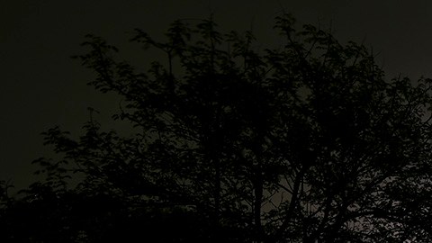 Tormenta eléctrica