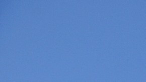 Sergio Madrigal works on a farm field Friday, July 11, 2025, in Camarillo, Calif. (AP Photo/Damian Dovarganes)