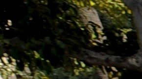 Los Angeles City sanitation workers clean up the aftermath of the Occupy Los Angeles after the Los Angeles police broke up the large encampment of protesters who had been camping out for the past two months at LA City Hall, Wednesday, Nov. 30, 2011, in Los Angeles. (AP Photo/Gus Ruelas)