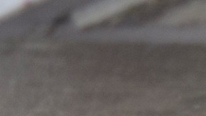 La troca de productos, Ashley y Chucho, se ha vuelto parte de la comunidad.