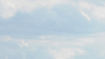 Turkish Airlines