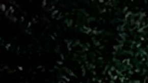 Yostin Andrés Mosquera