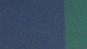 Alessandra Rosaldo y Eugenio Derbez