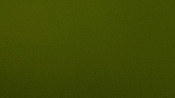 Investigadores aseguran que no hay riesgo para los humanos y no descartan la posibilidad de hallar otro nido.