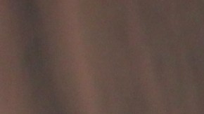 La Whopper Jr. es una de las hamburguesas que aplican a la promoción de productos gratis los viernes.