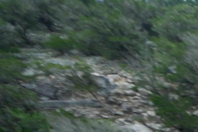 Las inundaciones en Texas han causado al menos 32 muertos, incluidos 14 niños y hay más de 20 niñas desaparecidas.