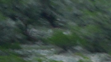 Las inundaciones en Texas han causado al menos 32 muertos, incluidos 14 niños y hay más de 20 niñas desaparecidas.