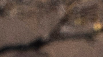 A nivel nacional, es al menos el decimosexto caso de un niño que fallece en circunstancias similares en 2025.