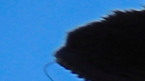 Uno de los riesgos de las deportaciones de ICE es que los deportados sean enviados a un tercer país.