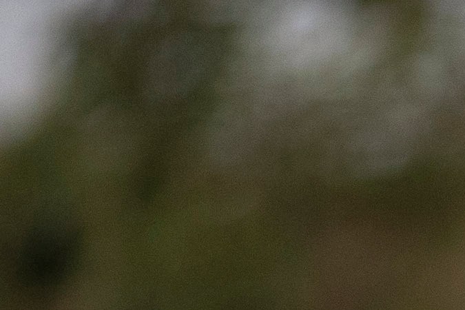 El informe también confirma que los ciudadanos mexicanos siguen siendo el grupo con mayor número de deportaciones.