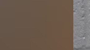 La Dra. Gupta está actualmente detenida y pendiente de ser extraditada al condado de Miami-Dade.