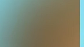 El detenido fue identificado como James Andrew McGann, de 28 años, residente de Springdale