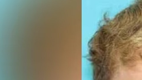 El detenido fue identificado como James Andrew McGann, de 28 años, residente de Springdale