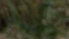 En el lugar del accidente quedaron restos del vehículo, que quedó completamente destrozado y en llamas.