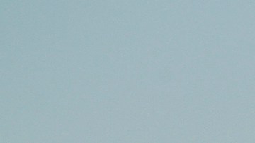 El DHS desplegó drones Predator con cámaras capaces de identificar a personas para sobrevolar las protestas en Los Ángeles.