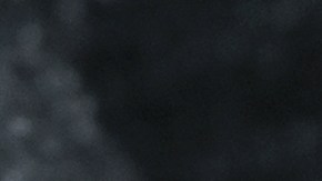 Por orden judicial, los nueve menores fueron retirados de la vivienda para garantizar su seguridad.