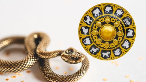 Símbolo de la Serpiente, signo que rige el 2025 en la astrología china.