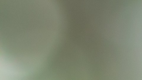 Prueba alguna de estas alternativas si olvidaste la contraseña de tu iPhone