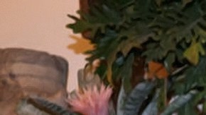 Julián Gil y Valeria Marín