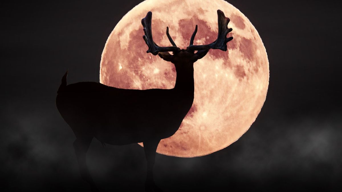 Qué es la luna de ciervo, cuándo y cómo verla