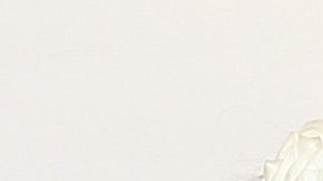 Michelle Galván y Fernando Guajardo