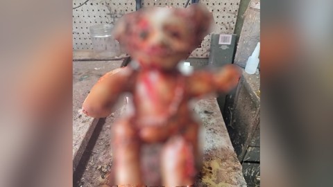 oso de peluche
