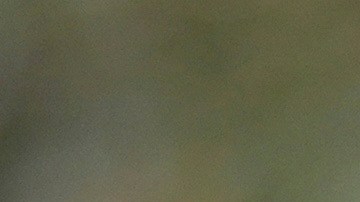 El Departamento de Educación investigará las becas para Dreamers que otorgan varias universidades.