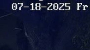 Cinco menores fueron captados caminando por un vecindario de Riverview, al este de Tampa.
