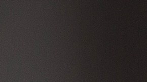 Hasta el momento no se ha determinado un motivo claro del crimen