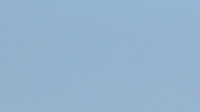 su cuerpo será enviado a la oficina del médico forense del estado para realizarle una autopsia.